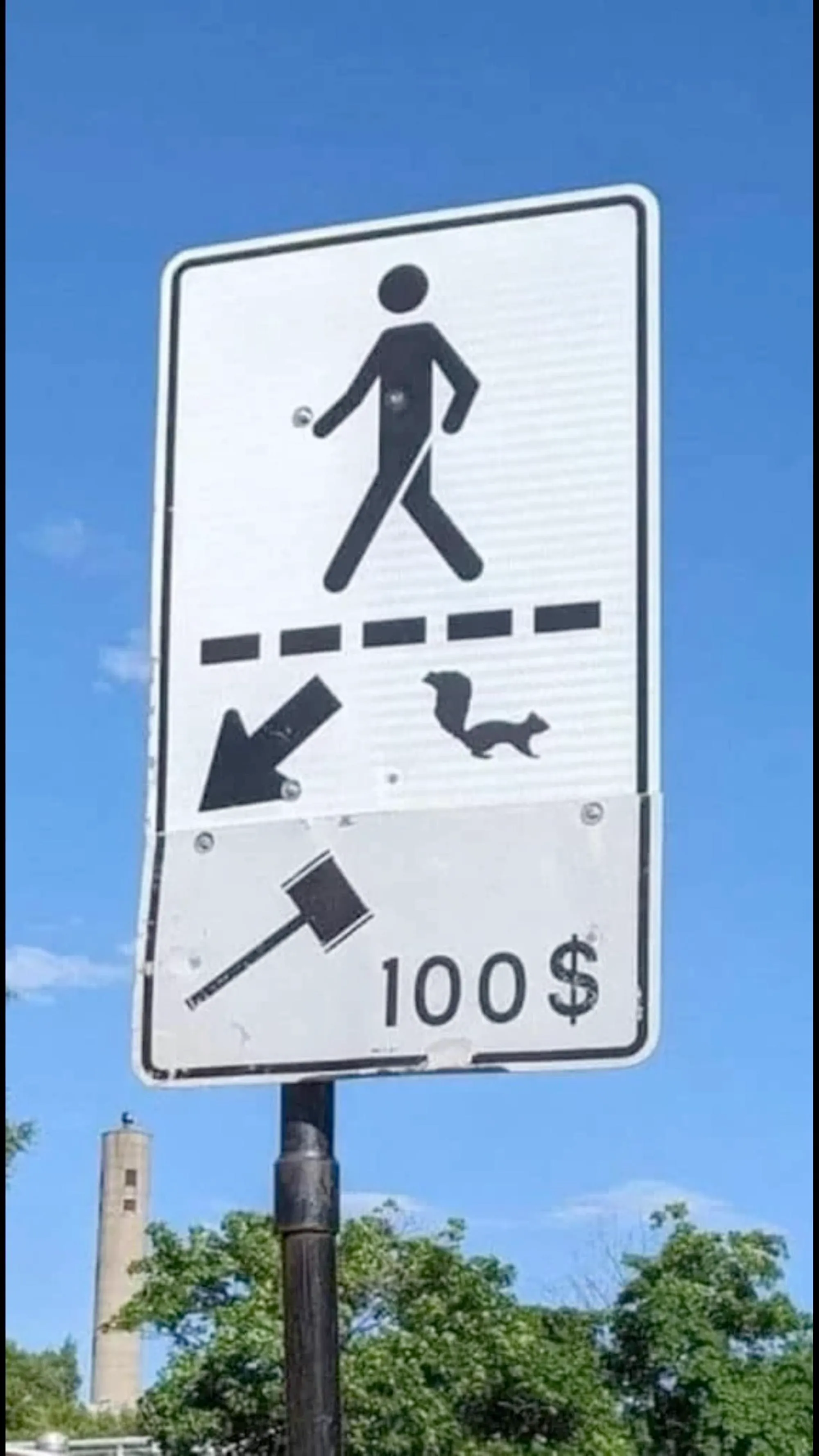 Street sign of pedestrian crossing road with squirrel