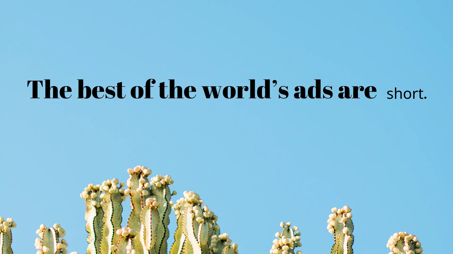 The best ads in the world